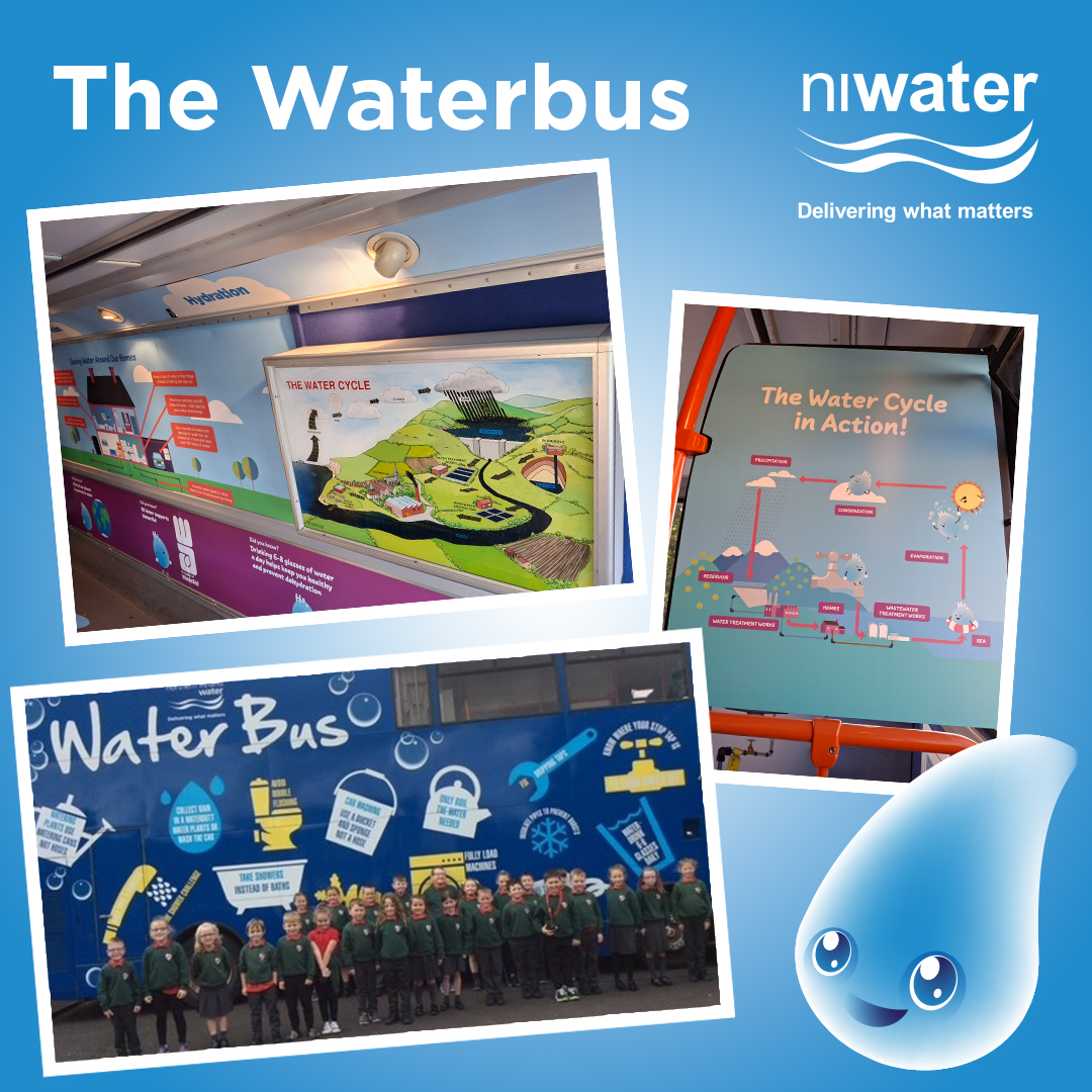 niwnews's tweet image. Our Education Team recently hit the road to St Olcan's PS in Armoy with the water bus! 🚍💧

We had a fantastic time sharing the wonders of the water cycle 🌧️🌊 and how everyone can help protect our precious water resources. 

#WaterBus #WaterCycle