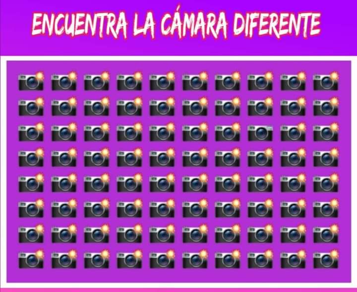 Isabel66991411's tweet photo. #activamos
#neuronas https://t.co/QNvKqV7Qqa