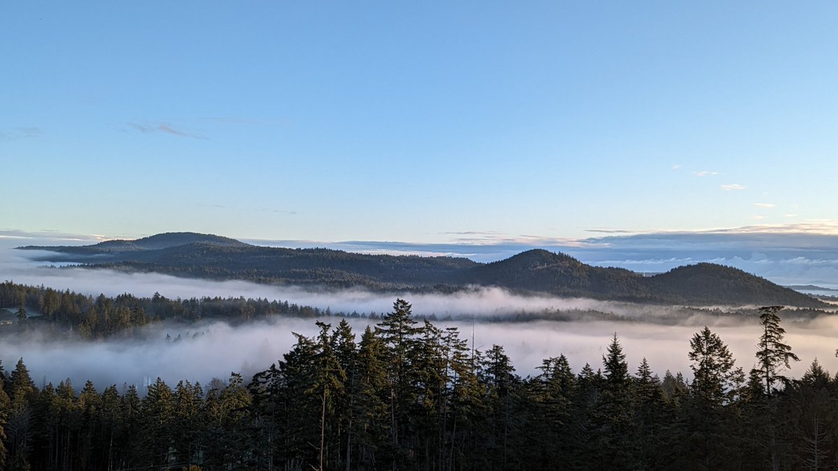 A misty morning on the mountain.