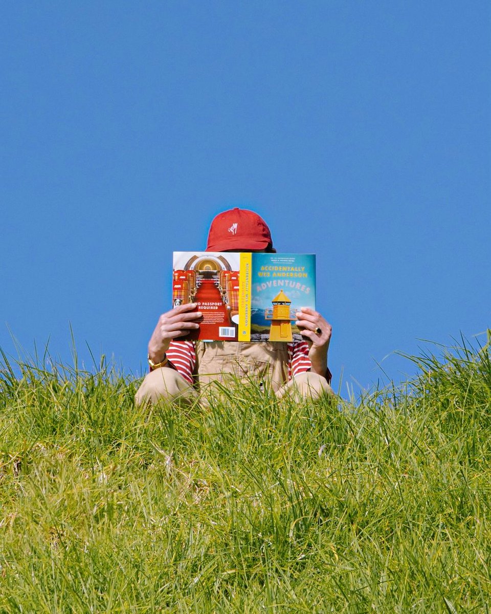 AccidentallyWesAnderson tweet media