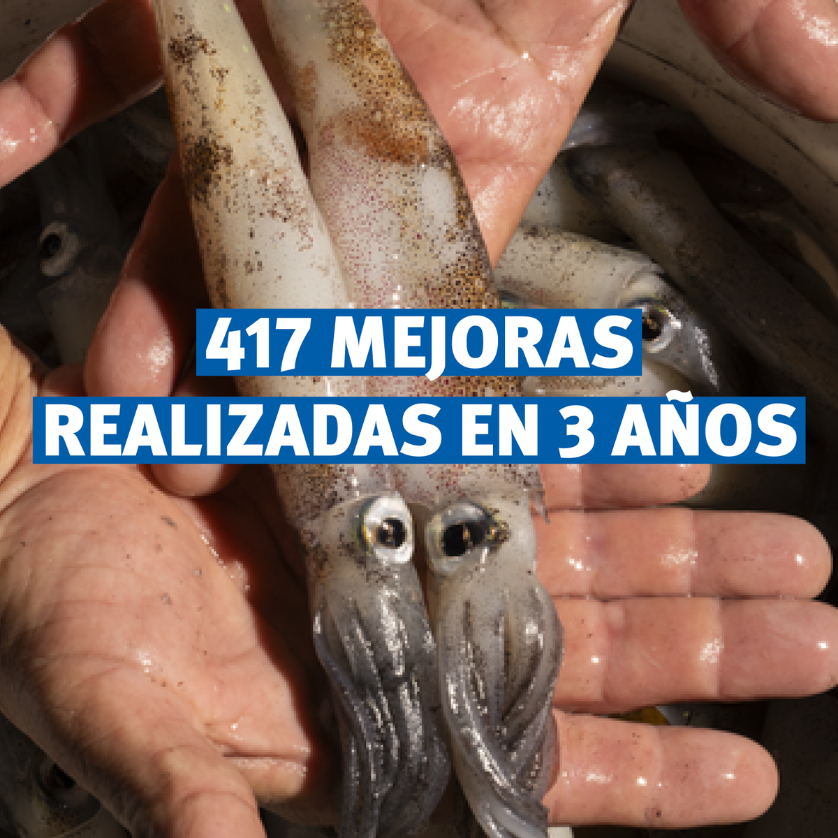MSCenEspana's tweet image. 👍🎣 ¡Las pesquerías involucradas en el programa #MSC siguen generando un gran impacto, con 417 mejoras en los últimos 3 años! En el Proyecto #MedPath, han participado 34 pesquerías, 7 instituciones científicas, gobiernos locales y ONG. 
🔗 #InformeAnual: bit.ly/3U6tEFG