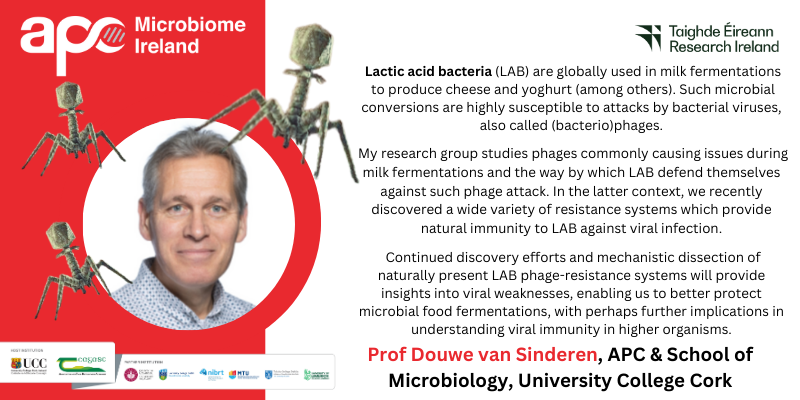 Pharmabiotic's tweet photo. For World Phage Day Prof Douwe van Sinderen gives some insights into his research. #WorldPhageDay #WorldPhageWeek
@AGEofthePHAGE
@UCCresearch @Researchirel @VanSinderenLab
@UccMicrobiology @SEFSUCC https://t.co/bPa1a95nnh