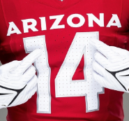 AZLD5Dems tweet media