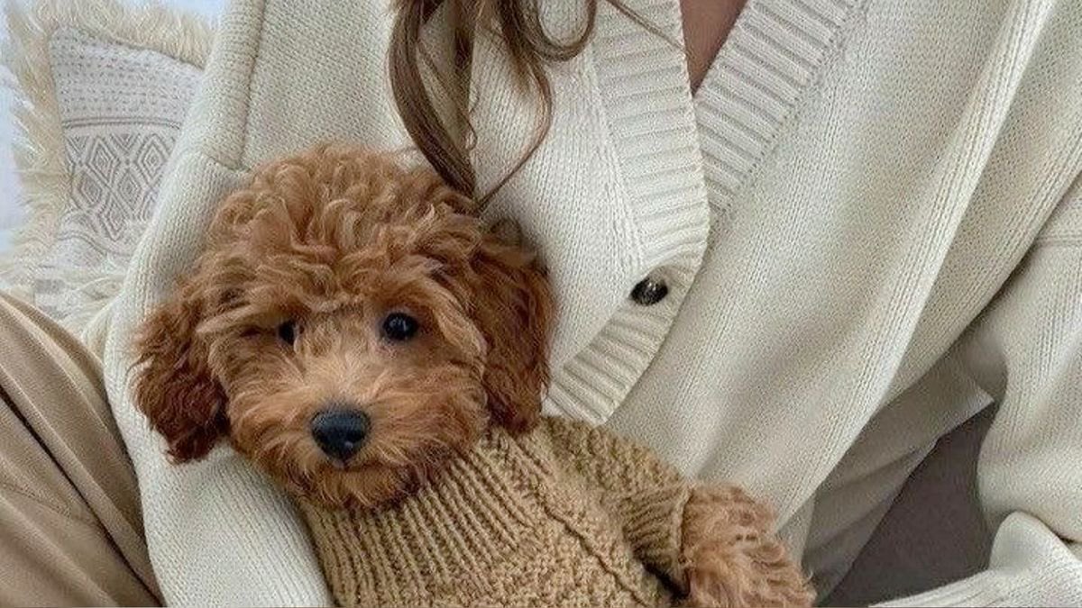 malusokay's tweet image. cosy october days 🎃