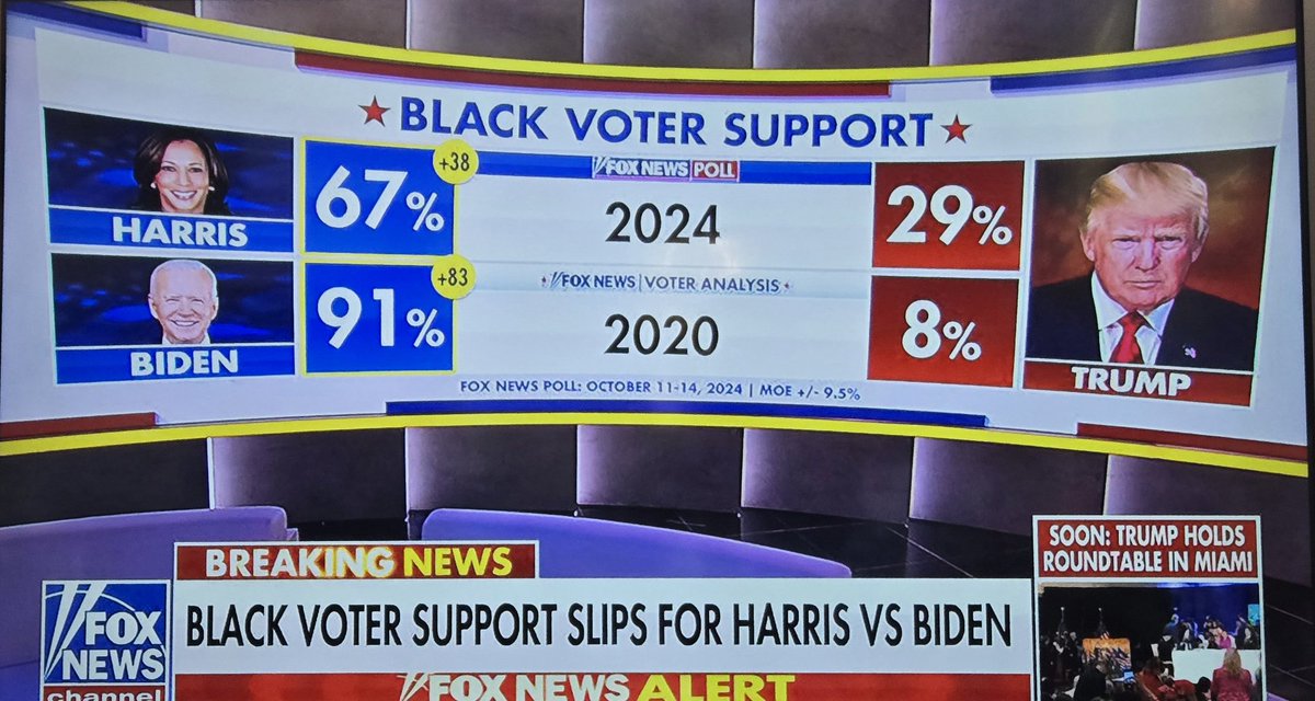 If these numbers hold through election day with Black Voters, there's no realistic way they can even cheat.

Get out and vote. PERIOD.

RUN. UP. THE. SCORE.