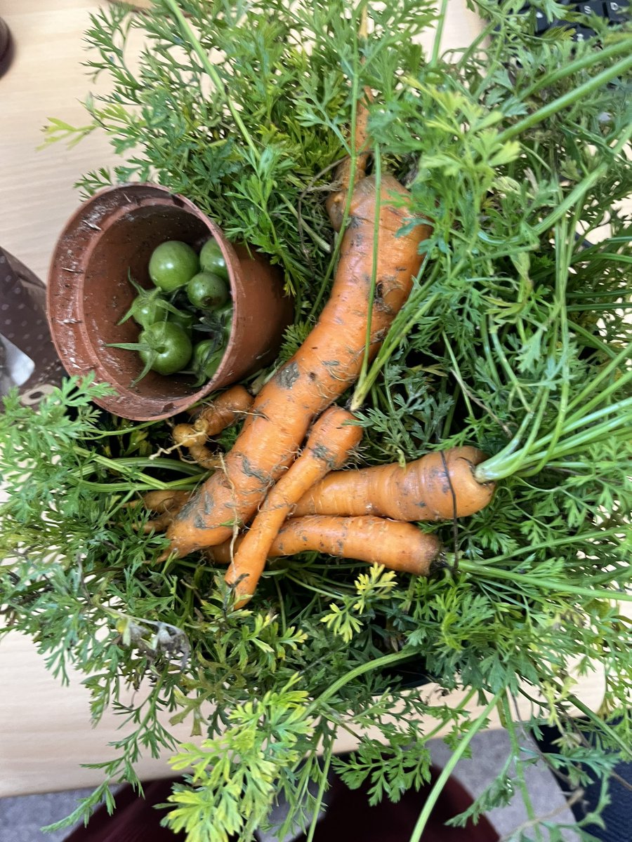 CPFT- Forensic Psychiatry Community Team tweet media