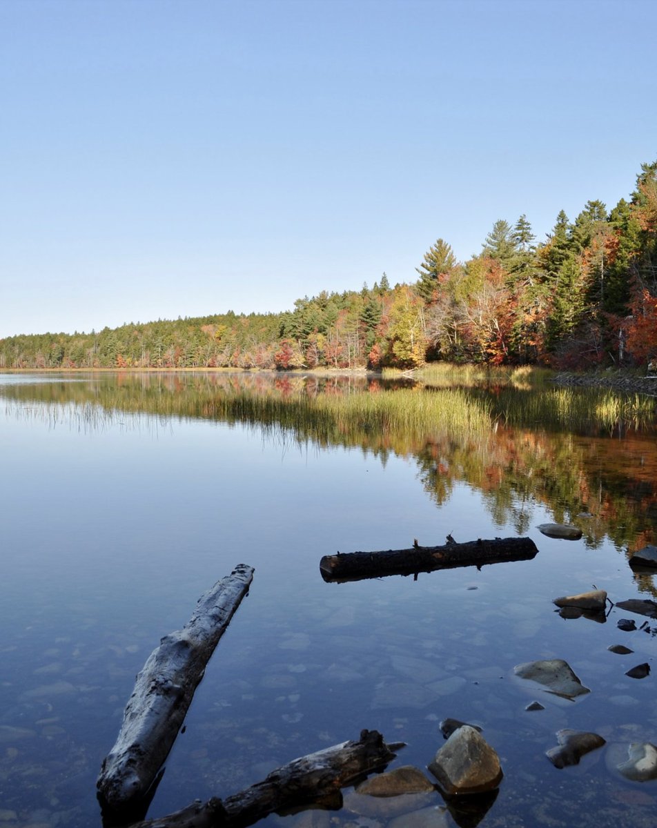 Saturday: OHA joined community members at Sandy Lake Park to survey for the Hemlock Woolly Adelgid (HWA), a threat to our Eastern Hemlocks. 🌲🪲 With support from CFIA, HRM, and NS Invasive Species Council, we learned to identify and prevent HWA. Good news: no HWA was found!