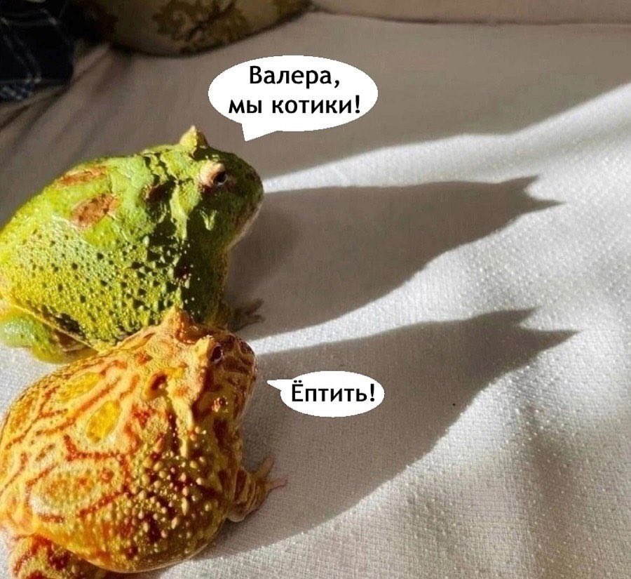 😎