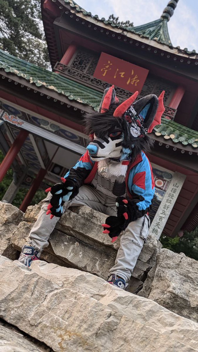 giffyangeldrago's tweet photo. Vibes new album photos just dropped, what kind of music do you think he’d make? 🤔😳

📸:Renegade
✂️: head base by @LigrisPrints 
✂️: paws by @Paws_and_Maws 
✂️: head put together and furred by me 🌈
#mnfur #fursuiting #fursuiter #fursuit #furryfandom #furries #emofursuit https://t.co/20piVD4iG9
