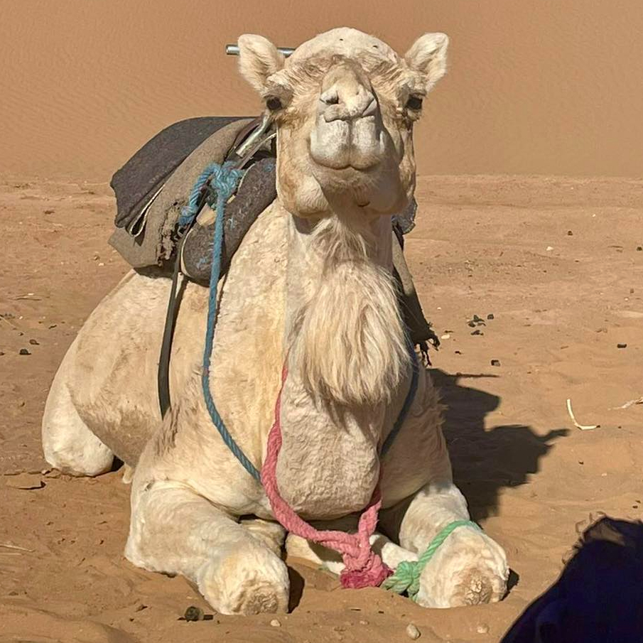 Shonaleigh tweet media