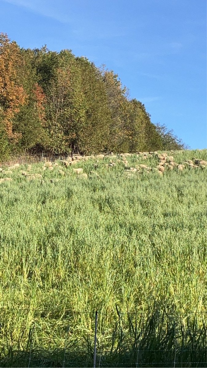 Jay Lennox tweet media