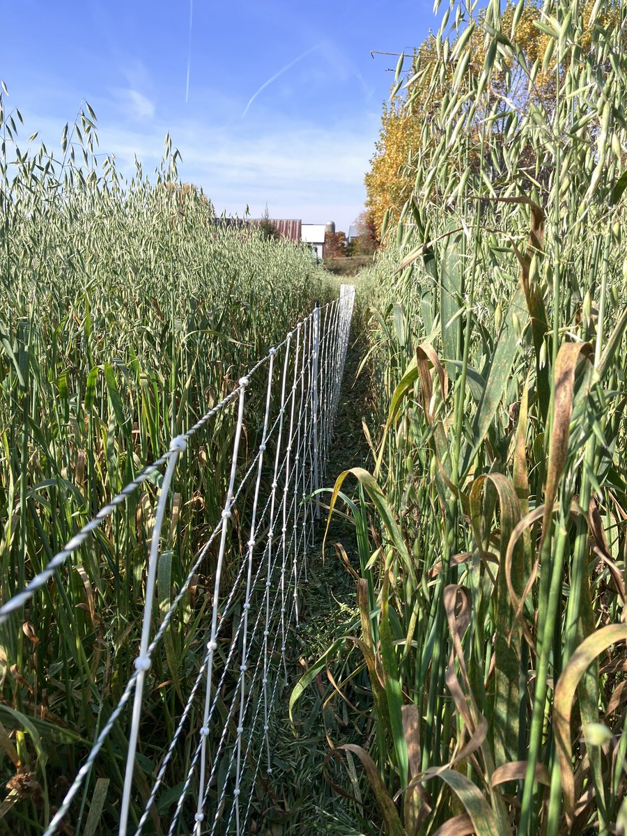 Jay Lennox tweet media