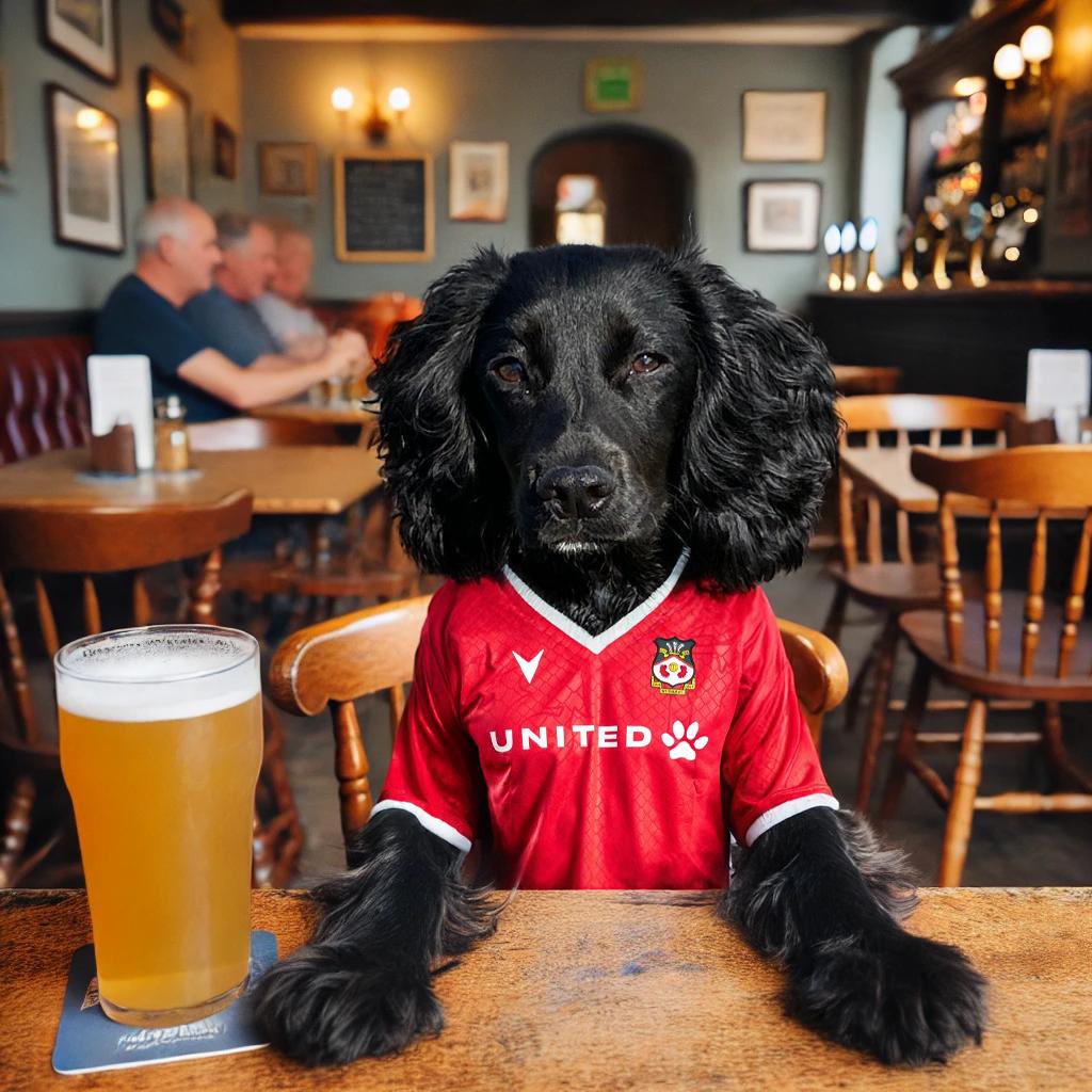<a href="/Wrexham_AFC/">Wrexham AFC</a> <a href="/CerysKes/">Cerys 🏴󠁧󠁢󠁷󠁬󠁳󠁿 #6128</a> Good evening everyone!, ahead of tonight’s game I wanted to introduce you to one of Wrexham AFC’s newest fans, our cocker spaniel puppy Peggy(Peg). She will be watching in with me tonight from home in Essex, UK. But unfortunately she’s not allowed to come to Charlton on Saturday!