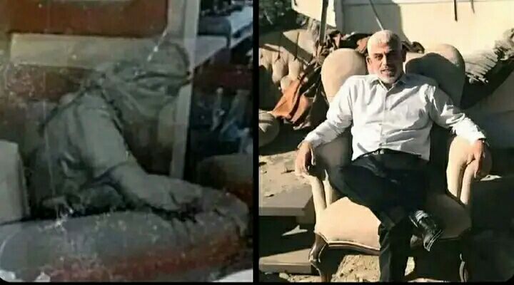 كرار tweet media