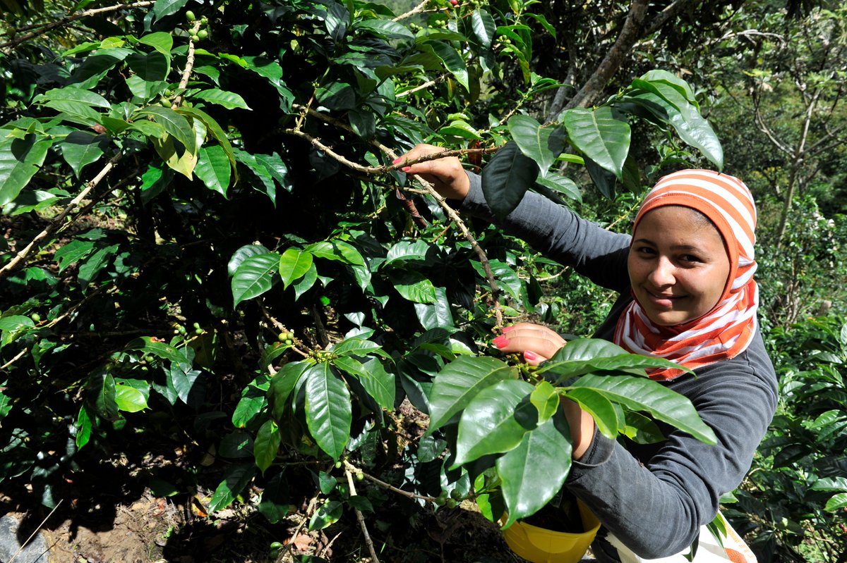 FFEM_Fr's tweet photo. 🌏Issues for #COP16Colombia #SDGs &amp; their links to the @FFEM_Fr strategy : 
🎯Support groundbreaking initiatives that address #biodiversity #climate  &amp; #pollution  issues while engaging #local #communities &amp; promoting #innovative #finance 
🔎https://t.co/vXgV46mja0 https://t.co/OV0xGypD3e