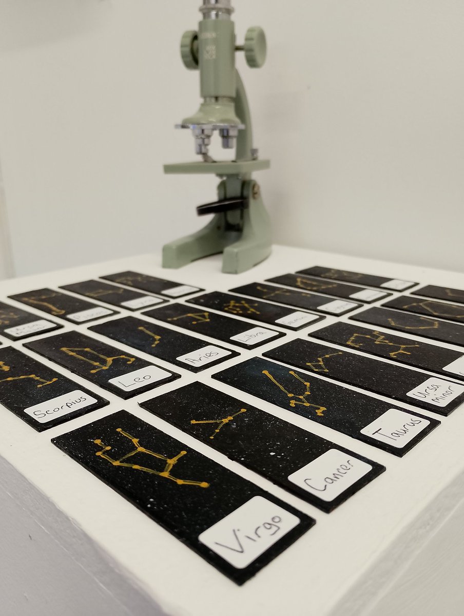 Michael Borkowsky tweet media