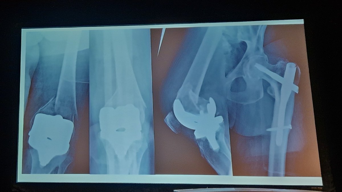 Dr. Miriam Tschaffon-Müller tweet media