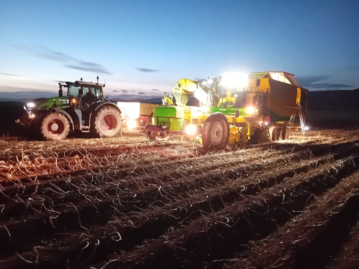 Duncan Wilson (@duncantwilson) on Twitter photo 