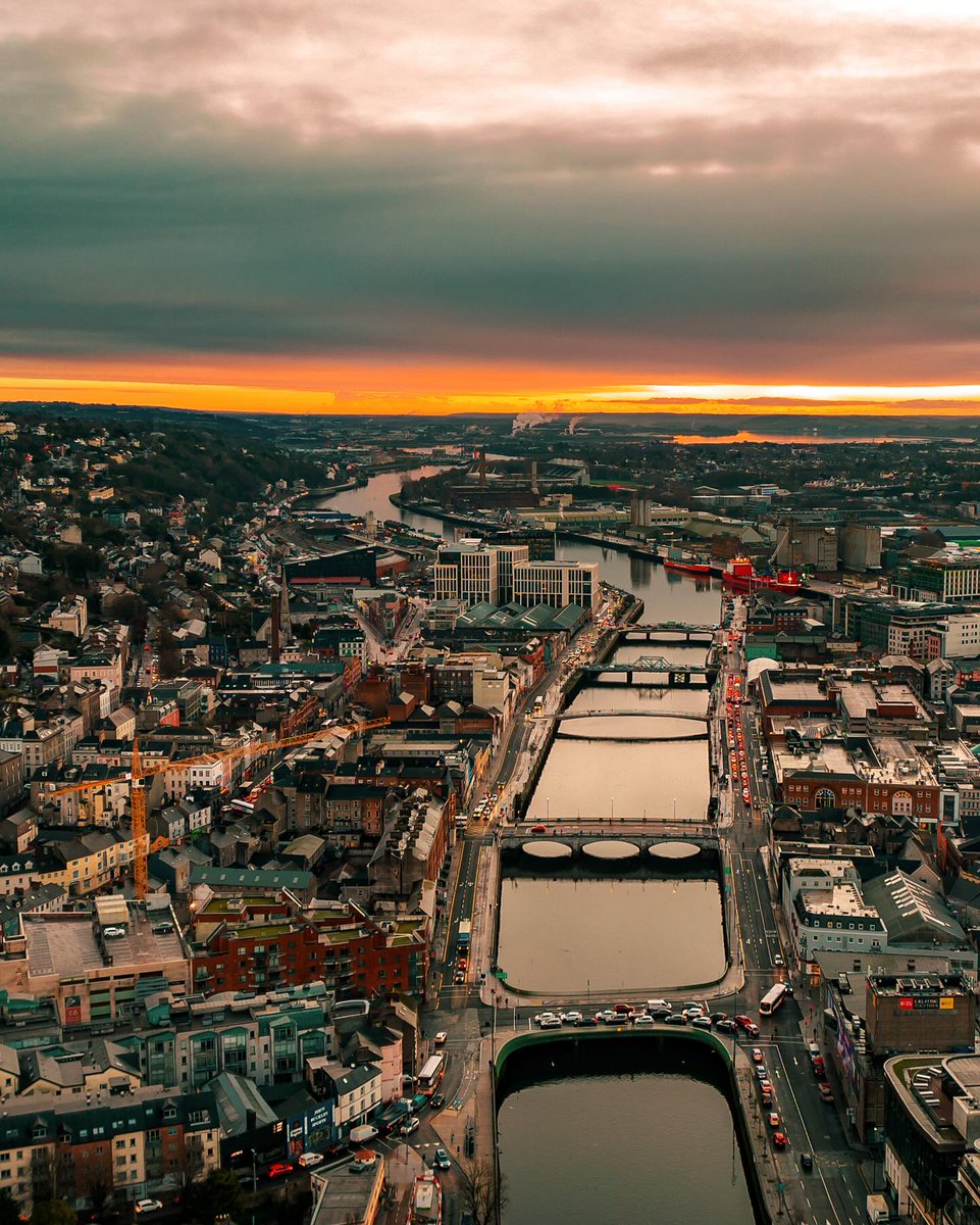 Discover Ireland tweet media