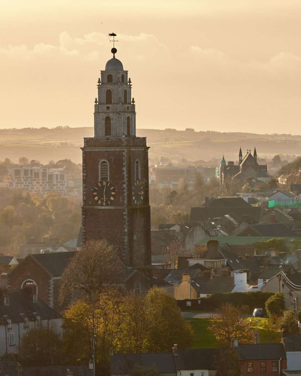 Discover Ireland tweet media