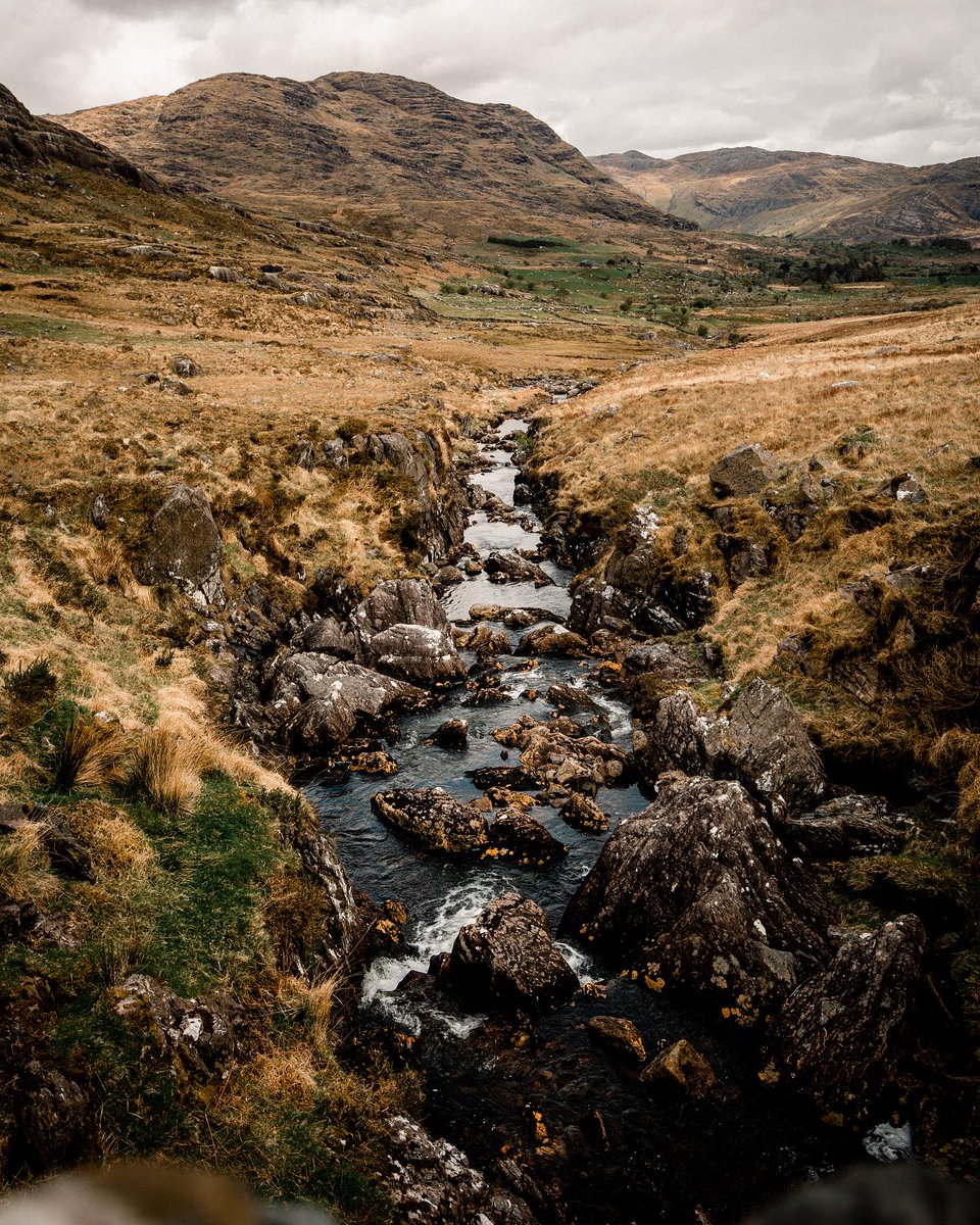 Discover Ireland tweet media