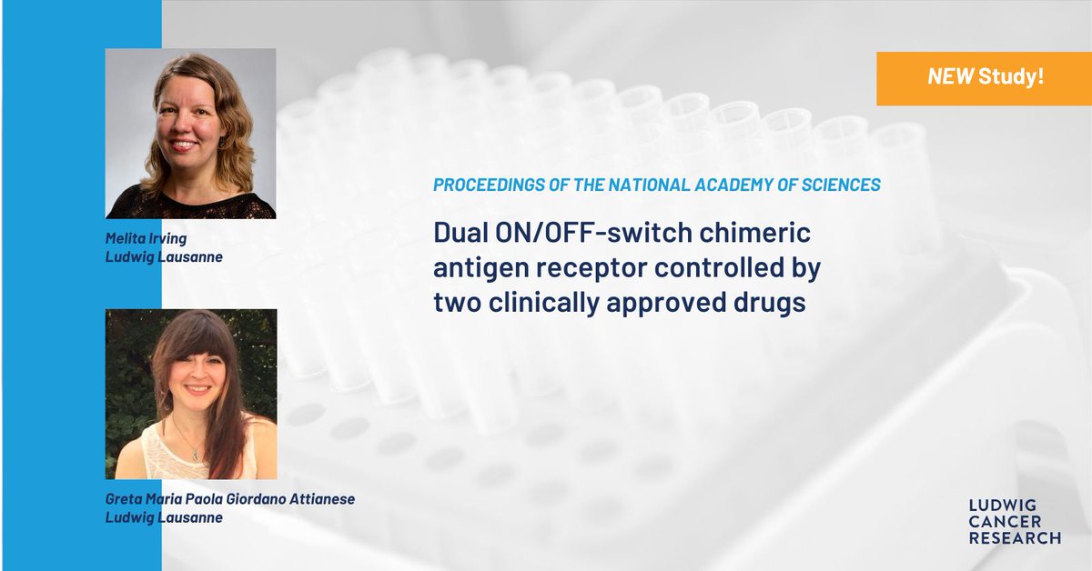 Ludwig Cancer (@ludwig_cancer) on Twitter photo Researchers led by Ludwig <a href="/OncoUNILCHUV/">Oncology UNIL CHUV</a> <a href="/IrvingMelita/">Melita Irving</a> & Greta Maria Paola Giordano Attianese have developed CAR-T cells for cancer #immunotherapy that can be switched on to varying degrees of intensity & then switched off on demand with existing drugs. bit.ly/3YweSL6 Researchers led by Ludwig <a href="/OncoUNILCHUV/">Oncology UNIL CHUV</a> <a href="/IrvingMelita/">Melita Irving</a> & Greta Maria Paola Giordano Attianese have developed CAR-T cells for cancer #immunotherapy that can be switched on to varying degrees of intensity & then switched off on demand with existing drugs. bit.ly/3YweSL6