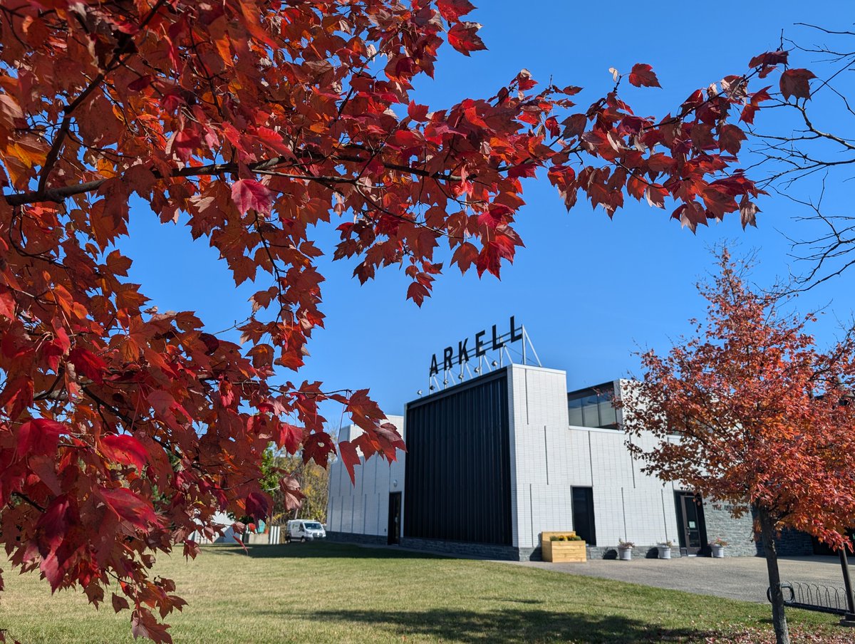 "Humoresque" tweet media