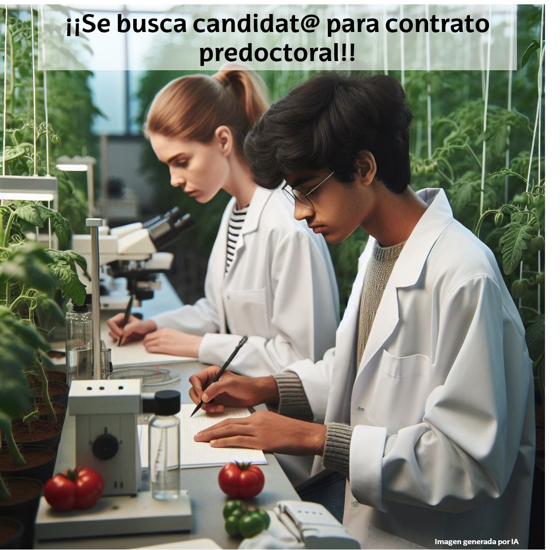 Master Agrobiología Ambiental tweet media