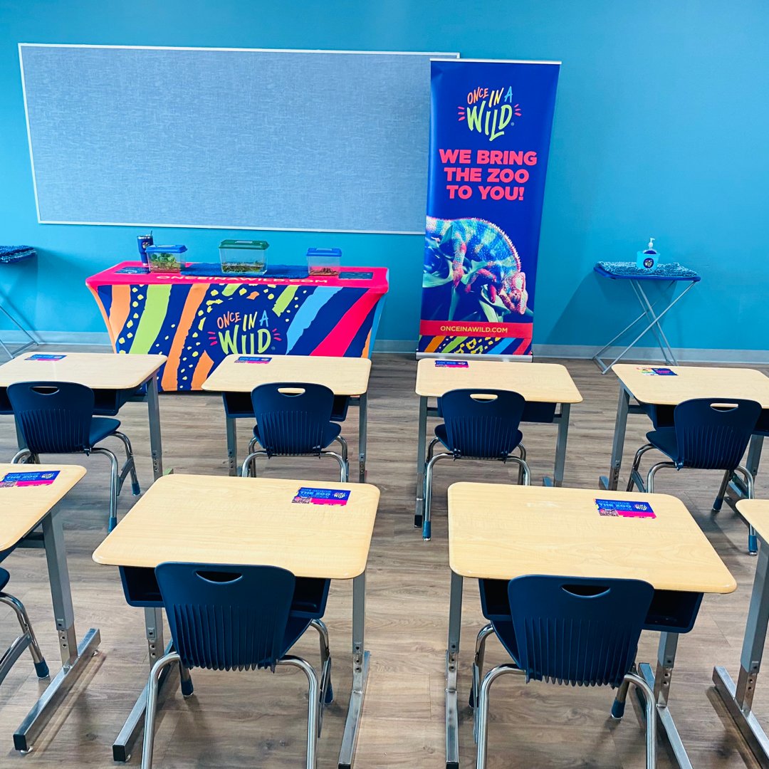 OnceInAWild's tweet image. Join Zoo Club for a 12-week hands-on animal learning program. Explore biomes and adaptations, meeting over 60 species. Perfect for young explorers!

Sign up now to bring Zoo Club to your school!

#ZooClub #AnimalLearning #AfterSchoolFun #STEMEducation #OnceInAWild