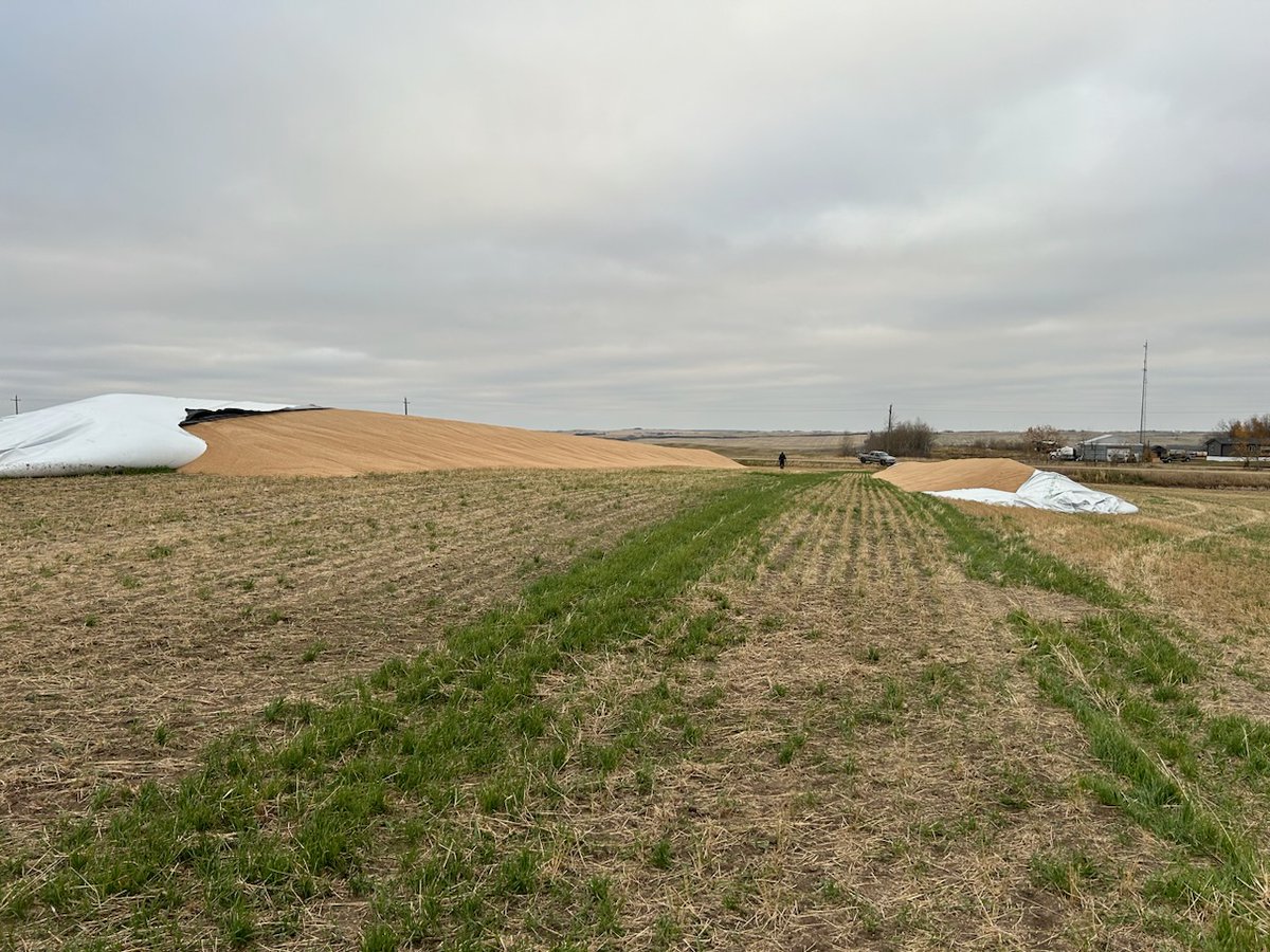 Michael Bury tweet media