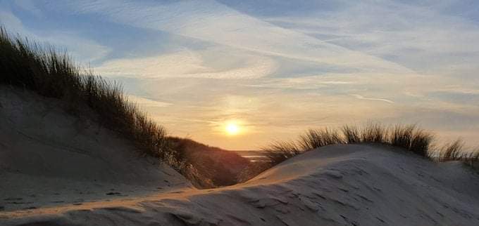 Havenlust's tweet photo. A, B, C or D? https://t.co/wbE36rz4Iy