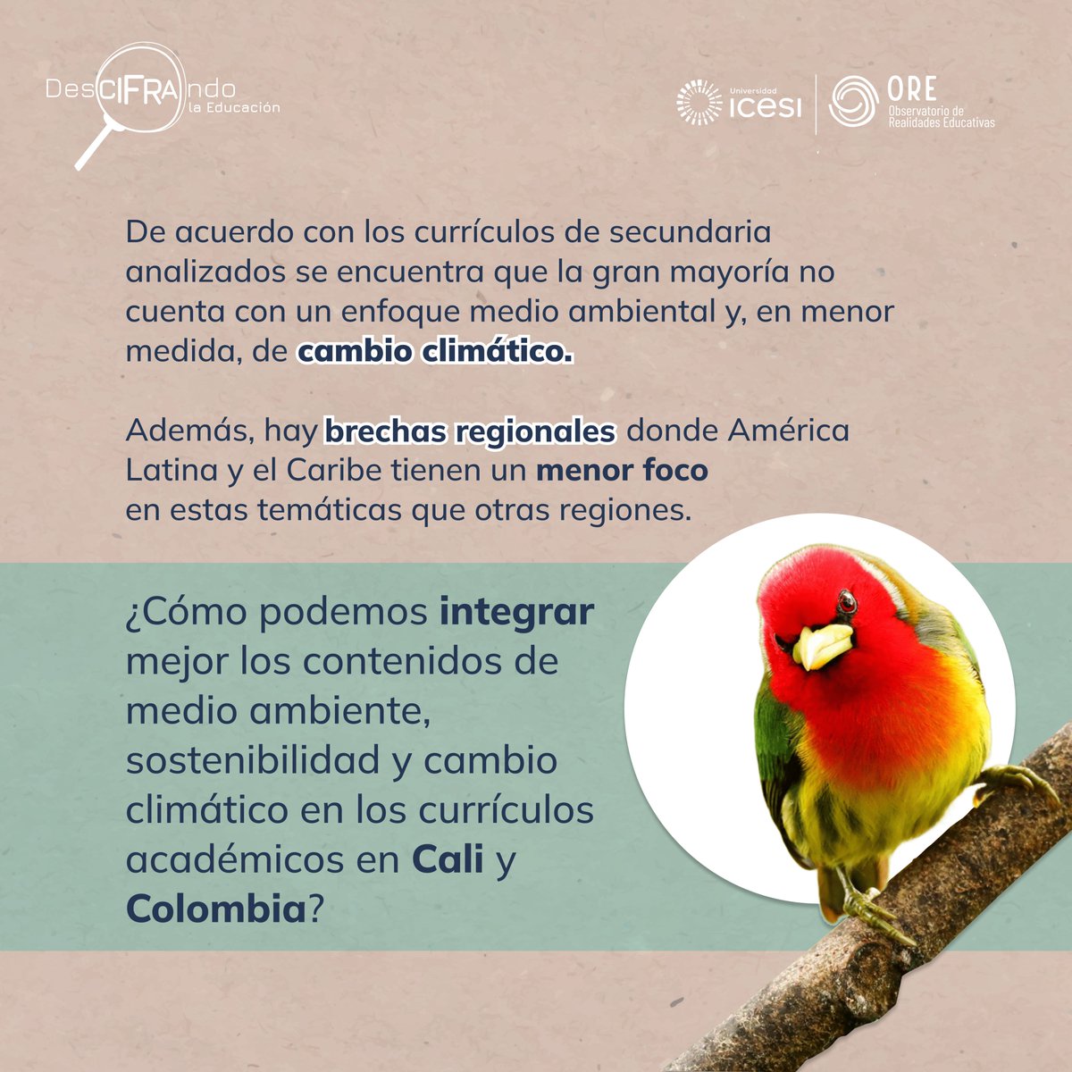 Hoy en #DeCIFRAndoLaEducación y con motivo de la COP16 de Biodiversidad en Cali, analizamos la educación medioambiental. De acuerdo con un estudio de UNESCO (2023), la mayoría de currículos de secundaria no cuenta con un enfoque medioambiental y aún menos de cambio climático.