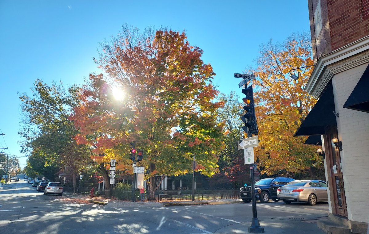 MelissasLibrary's tweet image. I interrupt regular #MarshallFoundationLibrary posting to just enjoy autumn in the Blue Ridge.