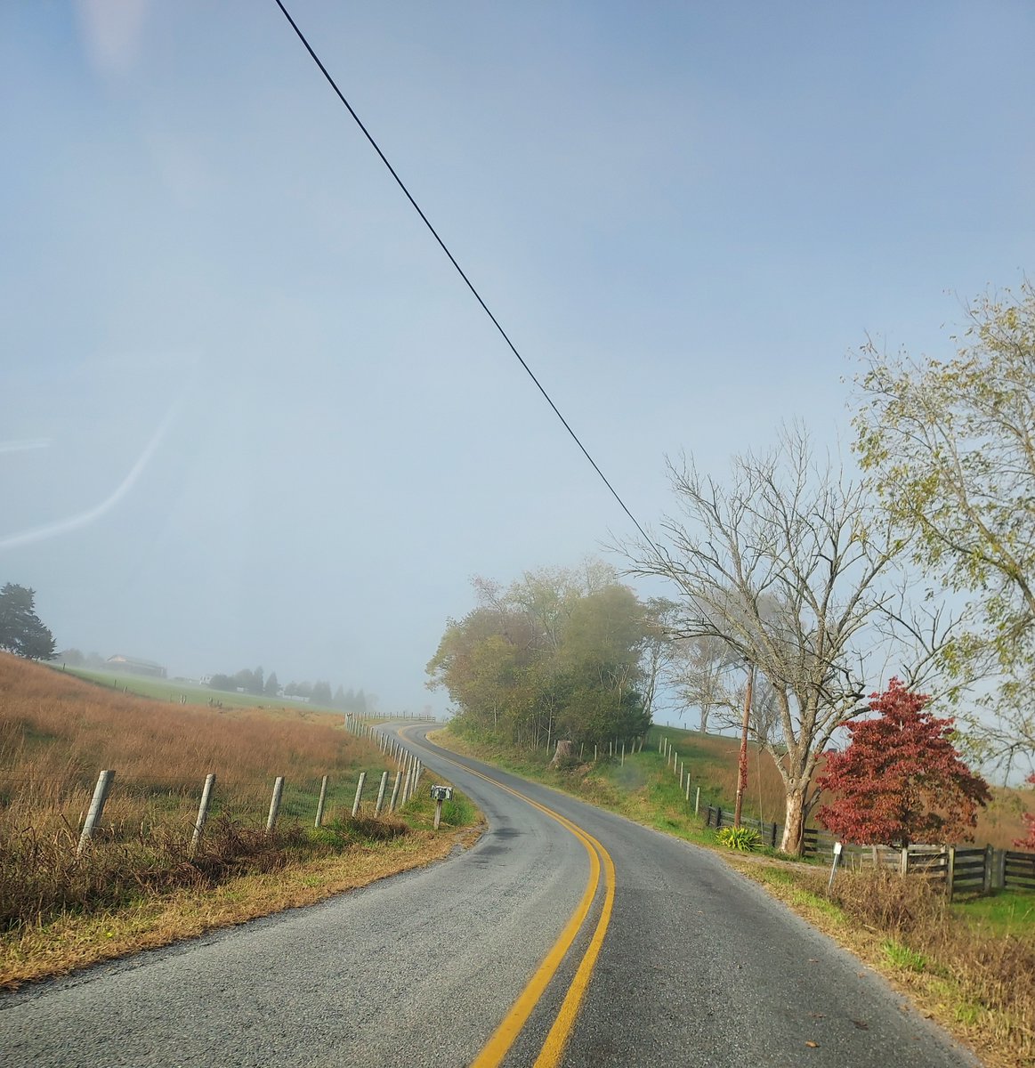 MelissasLibrary's tweet image. I interrupt regular #MarshallFoundationLibrary posting to just enjoy autumn in the Blue Ridge.