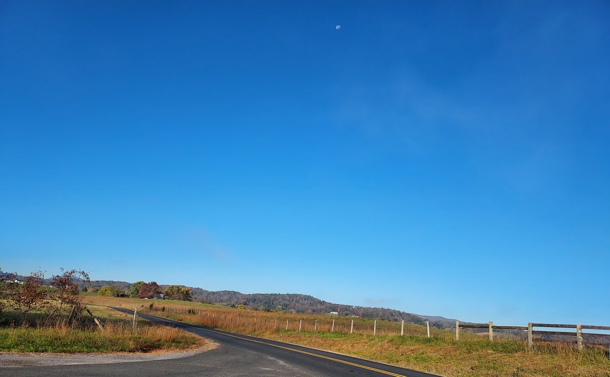 MelissasLibrary's tweet image. I interrupt regular #MarshallFoundationLibrary posting to just enjoy autumn in the Blue Ridge.