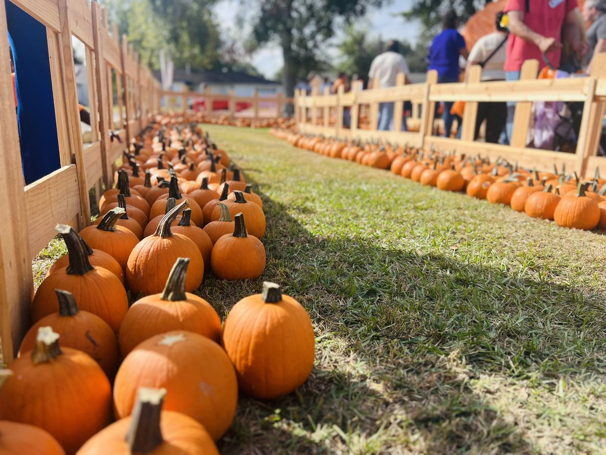 Dr. Marlon R. Waites Jr. (@marlonwaites) on Twitter photo Had a fantastic time at the annual SPED Pumpkin Patch celebration! 🎃 The creativity, joy, and spirit on display were inspiring. Thank you to all the staff, students, and families who came out to make this event unforgettable! <a href="/LamarCISD/">Lamar CISD</a> Had a fantastic time at the annual SPED Pumpkin Patch celebration! 🎃 The creativity, joy, and spirit on display were inspiring. Thank you to all the staff, students, and families who came out to make this event unforgettable! <a href="/LamarCISD/">Lamar CISD</a>