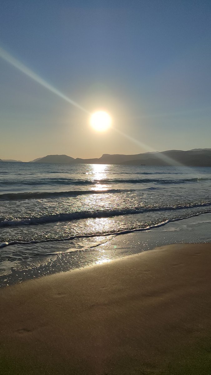 🌅📸