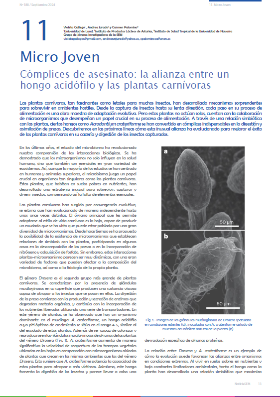 JISEM_SEM's tweet photo. ¿Todavía no has leído la última entrega de Micro Joven en NoticiaSEM? Esta vez hemos hablado de simbiosis entre plantas del género Drosera y el hongo A. crateriforme para favorecer las condiciones extremas en las que habitan. ¡No te lo puedes perder! @SEMicrobiologia https://t.co/iyJy0Ihx12