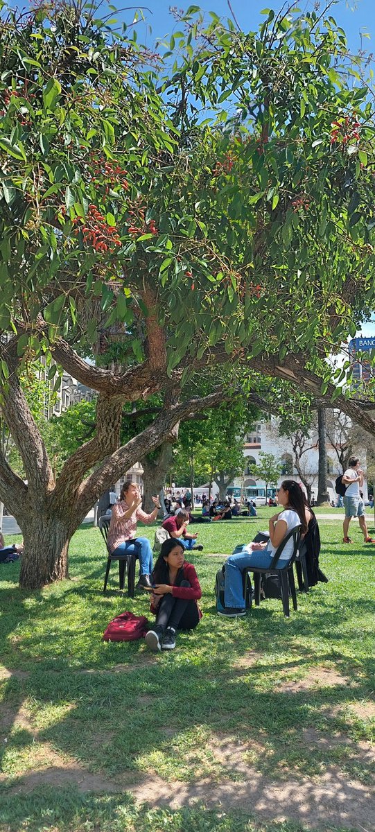 DacilLanza's tweet image. La mejor clase pública #MiPaís