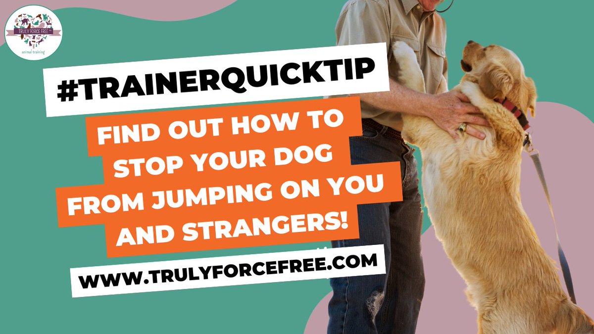 forcefree_pets's tweet image. 🐶Shannon Riley's #trainerquicktip 👉 youtu.be/c584HP0-PoQ