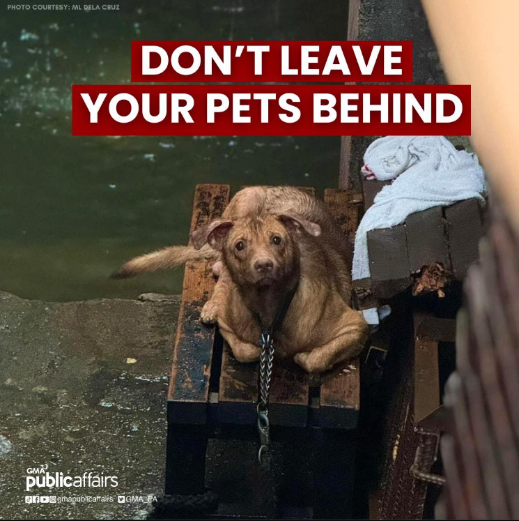 chikenhatd0g's tweet photo. Praying for everyone's safety. 

Remember, your pets depend on you, so please take them with you and ensure they’re safe too.

#KristinePH https://t.co/ErlCcaGlFS