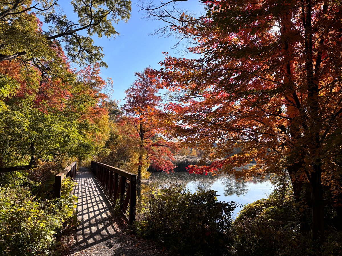 RLazear's tweet photo. Some photos from my beautiful morning "commute" @ualbany @UAlbanyGreenScn https://t.co/qUHzxryBJv