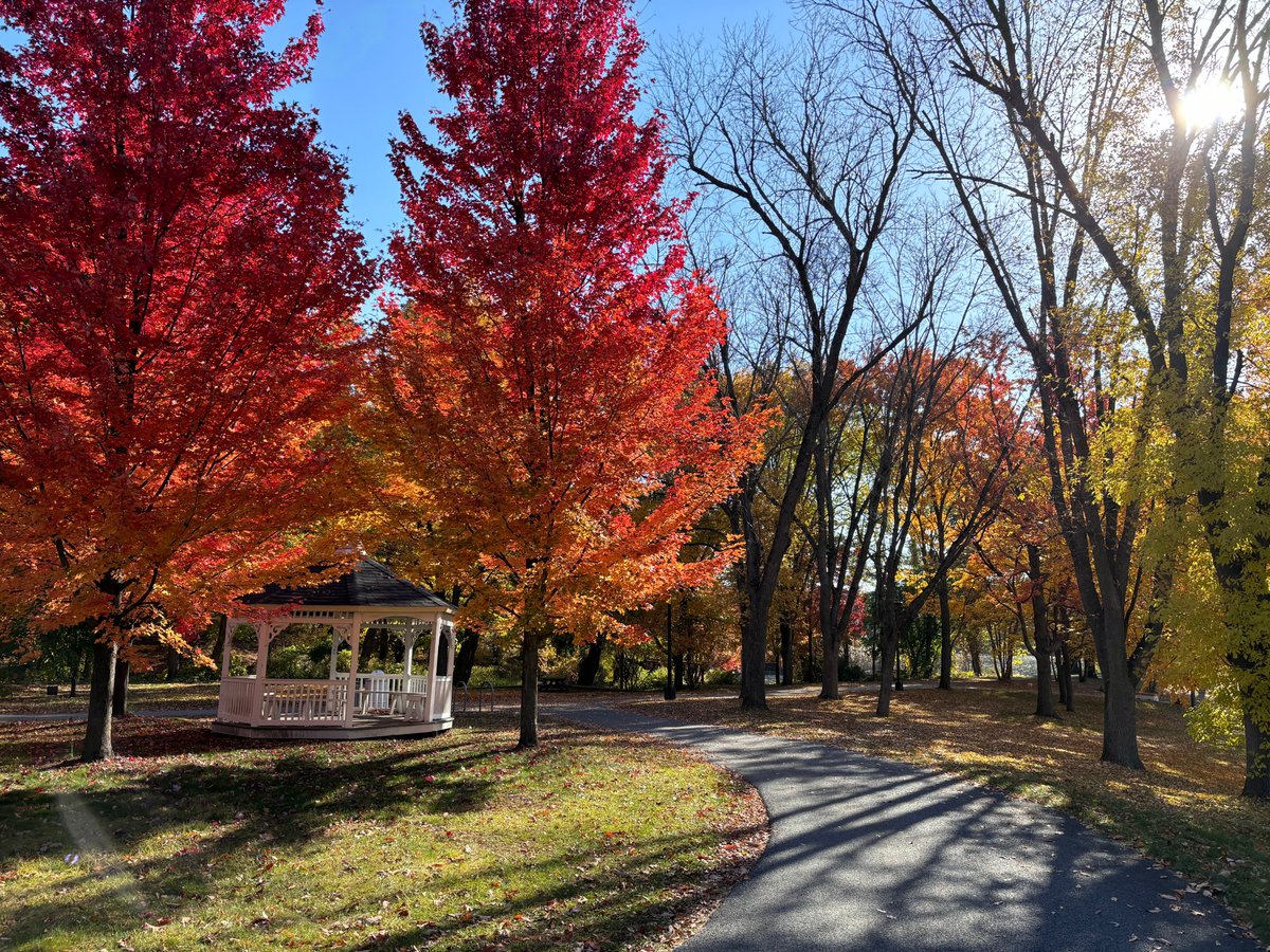Ross Lazear (@rlazear) on Twitter photo Some photos from my beautiful morning "commute" <a href="/ualbany/">University at Albany</a> <a href="/UAlbanyGreenScn/">UAlbany Green Scene</a> Some photos from my beautiful morning "commute" <a href="/ualbany/">University at Albany</a> <a href="/UAlbanyGreenScn/">UAlbany Green Scene</a>