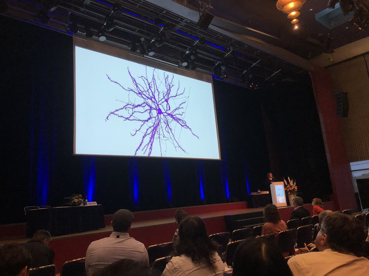 Synapses take center stage at #HUPO24.  <a href="/erin_schuman/">Erin schuman</a> at <a href="/hupo_org/">Human Proteome</a>