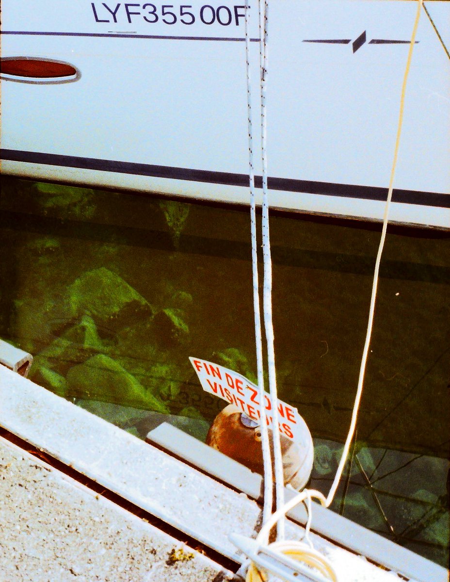 Weeknder tweet media