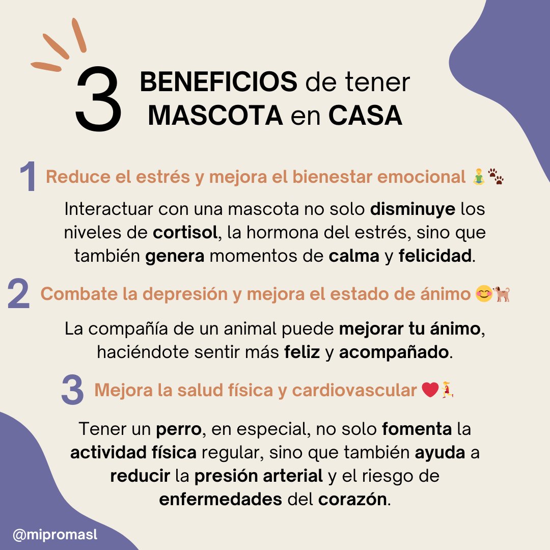 Miproma's tweet photo. ¿Conoces los beneficios que puede aportarte tener una mascota en casa? 

No solo te acompañan en el día a día, también contribuyen a mejorar tu bienestar físico y emocional. 🧡🐕‍🦺

#BienestarConMascotas #VidaConMascotas #AmigosEnCasa #BeneficiosMascotas #Miproma #TuMejorCompañero https://t.co/SuN3dG4qdc