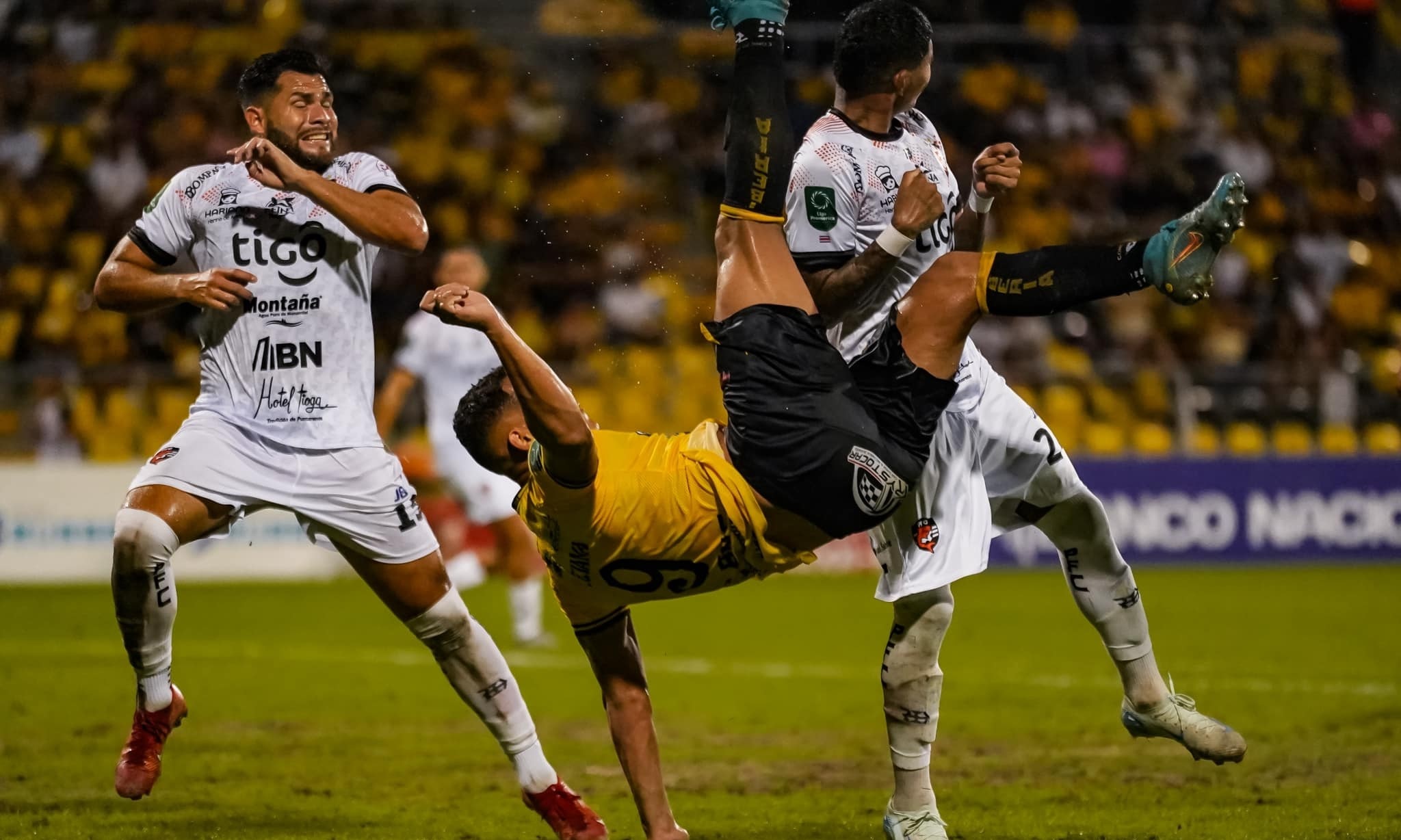 Imagen