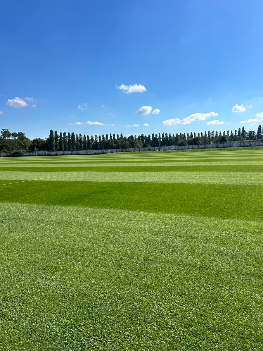 Natural Grass tweet media