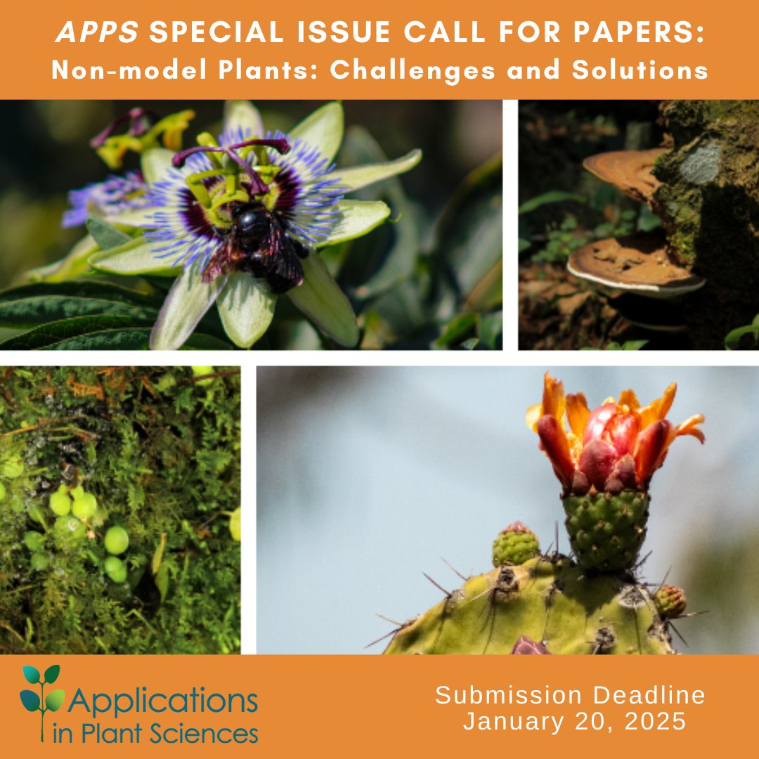 Botanical_'s tweet photo. 🌿Special Issue Call for Papers🌿

#AppsPlantSci invites proposals for "Non-model plants: Challenges and solutions" led by editors Jose Cunill Flores, Guanjing Hu &amp; @AaronVelezR 

Proposal deadline 20 Jan 2025

https://t.co/HIXncJBz7Y @WileyPlantSci #iamabotanist #botany https://t.co/DQH1BsAZgy