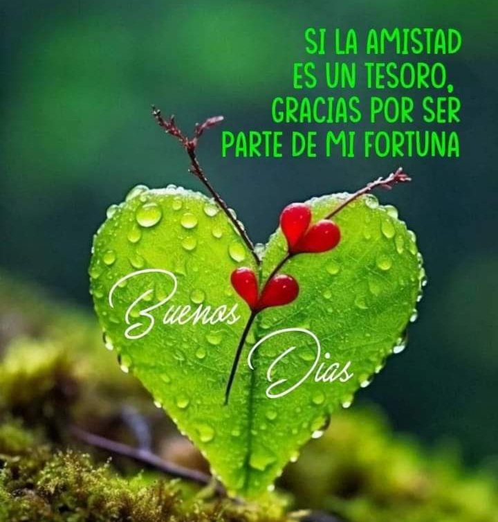 🇩🇴mamiRD_ #LoveDeMami❤ AmigosDe❤ (@mamird_) on Twitter photo <a href="/mamiRD_/">🇩🇴mamiRD_ #LoveDeMami❤ AmigosDe❤</a>
<a href="/Saori__M/">ღƪ(ˆ◡ˆ)ʃ♡ℳДƦîƝ இ️ ♡</a>
<a href="/bordong2/">GΣЯΛ</a>
<a href="/Fer_M66/">@🇫Ξ®️_〽️66</a>
<a href="/_lawonder/">༺ •✫ 𝘞𝘰𝘯𝘥𝘦𝘳 ✫• ༻</a>
<a href="/majd9757/">M</a>
<a href="/florchicana/">Selene  𝕏🖤Perfectly imperfect 🖤❌DM❌</a>
<a href="/fitoazul1/">fitoazul  #TFFLOVE</a>
<a href="/Luccy_007/">Lucy</a>
<a href="/S2_CarlaS2/">꧁༺Carla༻꧂#EliFriends🇧🇷★✼☆</a>
<a href="/Alana__28/">#AmigosD❤ #LoveDmami</a>
💚#TeamUnidoS
<a href="/666_alhlwan/">🇸🇦🌴🆇𓃵💛MBS #Saleh666 MBS 🖤𓃵🌴🆇 🇸🇦</a>
<a href="/ElBlondyRD/">DOMINGO MEJIA</a>
<a href="/Mabel_2021_/">Mabel</a>
<a href="/srone82/">♥ 🏋️ 💪MIGUEL 💪 ♥</a>
<a href="/insaurraldeh/">⭐POLI⭐ #MGWV⭐</a>
<a href="/Fanny02_/">Fany</a>
<a href="/aditi_kumari__/">Aditi kumari singh 🐬#1DDrive 🐬 #MGWV 🐬</a>
<a href="/miarianmoreno/">MIRIAN_RD🇩🇴 #LoveDMami ❤AmigosD❤</a>
<a href="/GONZALEZRNGL/">Ramnulf</a>
<a href="/vinaymishra1961/">VINAY</a>
<a href="/saulChvezramn1/">mariner2 #TSha</a> <a href="/mamiRD_/">🇩🇴mamiRD_ #LoveDeMami❤ AmigosDe❤</a>
<a href="/Saori__M/">ღƪ(ˆ◡ˆ)ʃ♡ℳДƦîƝ இ️ ♡</a>
<a href="/bordong2/">GΣЯΛ</a>
<a href="/Fer_M66/">@🇫Ξ®️_〽️66</a>
<a href="/_lawonder/">༺ •✫ 𝘞𝘰𝘯𝘥𝘦𝘳 ✫• ༻</a>
<a href="/majd9757/">M</a>
<a href="/florchicana/">Selene  𝕏🖤Perfectly imperfect 🖤❌DM❌</a>
<a href="/fitoazul1/">fitoazul  #TFFLOVE</a>
<a href="/Luccy_007/">Lucy</a>
<a href="/S2_CarlaS2/">꧁༺Carla༻꧂#EliFriends🇧🇷★✼☆</a>
<a href="/Alana__28/">#AmigosD❤ #LoveDmami</a>
💚#TeamUnidoS
<a href="/666_alhlwan/">🇸🇦🌴🆇𓃵💛MBS #Saleh666 MBS 🖤𓃵🌴🆇 🇸🇦</a>
<a href="/ElBlondyRD/">DOMINGO MEJIA</a>
<a href="/Mabel_2021_/">Mabel</a>
<a href="/srone82/">♥ 🏋️ 💪MIGUEL 💪 ♥</a>
<a href="/insaurraldeh/">⭐POLI⭐ #MGWV⭐</a>
<a href="/Fanny02_/">Fany</a>
<a href="/aditi_kumari__/">Aditi kumari singh 🐬#1DDrive 🐬 #MGWV 🐬</a>
<a href="/miarianmoreno/">MIRIAN_RD🇩🇴 #LoveDMami ❤AmigosD❤</a>
<a href="/GONZALEZRNGL/">Ramnulf</a>
<a href="/vinaymishra1961/">VINAY</a>
<a href="/saulChvezramn1/">mariner2 #TSha</a>